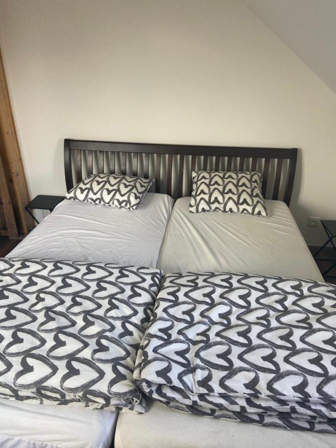 Horsky Apartman Pod Jestedem Apartment Liberec Ngoại thất bức ảnh